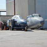 Cambria_0036 (November 02, 2013)